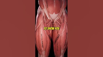 How To Fix Groin Pain (Adductor Strain)