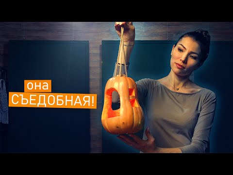 Кормушка для птиц из тыквы своими руками