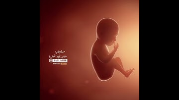 سورة آلإسراء - #يوسف_العيدروس