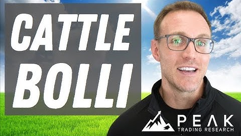 Feeder Cattle Bollinger Band Strategy | Strategy of the Month September 2022 | Peak Trading Research