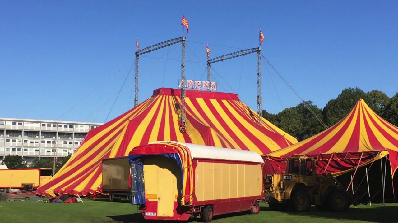 Cirkus arena i byen 2017