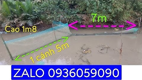 Bán dớn bắt cá. Bán dớn chặn sông. Bán xăm bắt cá. Bán lú bắt cá.