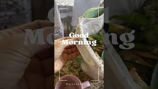 Good morning and happy May