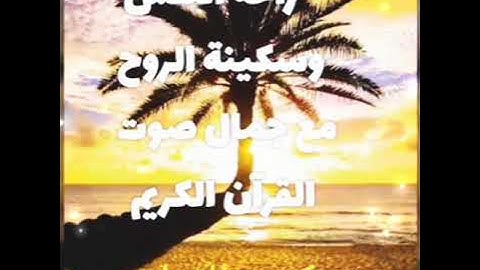 سورة النحل _ بصوت القارئ / أمين حمدي محمد
