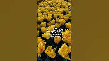 تلاوة مسائية بصوت جميل جدا للقارئ إسلام صبحي| آية الكرسي ||حالات دينية