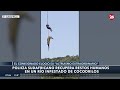 🇿🇦 HORROR EN SUDÁFRICA | Hallan restos humanos dentro de un cocodrilo tras una búsqueda extrema