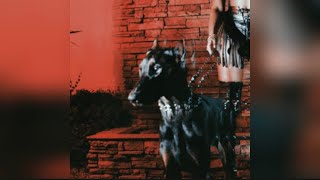 Leon Thomas - MUTT (Remix) (feat. Chris Brown, Freddie Gibbs and Vedo)