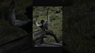 #reddeadredemption2 #rdr2 #gaming #shortvideo #shorts #short #youtubeshorts #ytshorts #youtube #rdr