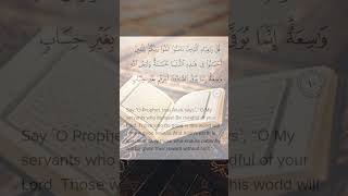Surah Az-Zumar | Beautiful Qirat | Ayat 9 To 10 | Daily Quran Recitation