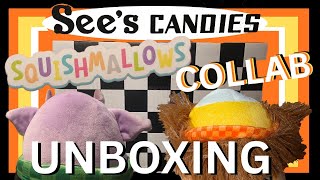 Exclusive Bigfoot Squishmallow and Goblin Plush From See's Candy Halloween Collaboration Unboxing