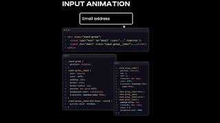 Programming in CSS| Input Animation html css| programming coding tips animation style shorts