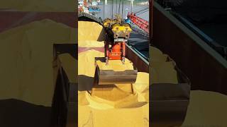 Why Millions Of Tons Of Exported Grain Lose Weight During Shipping?