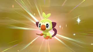 LIV SHINY GROOKEY!!!! #pokemon #shinypokemon