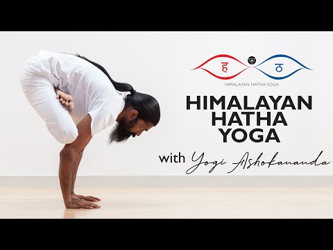 Himalayan Hatha Yoga - all levels