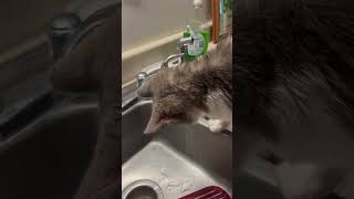 IMG 4361