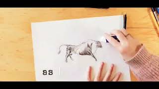Bull drawing speed art (Taurus inspired)