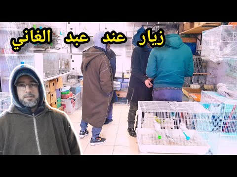 فيديو جديد زيارة عند عبد الغاني طيور جداد فيشرا روز مولينا موانو بادجي إنجليزي هوغو فرجة ممتعة