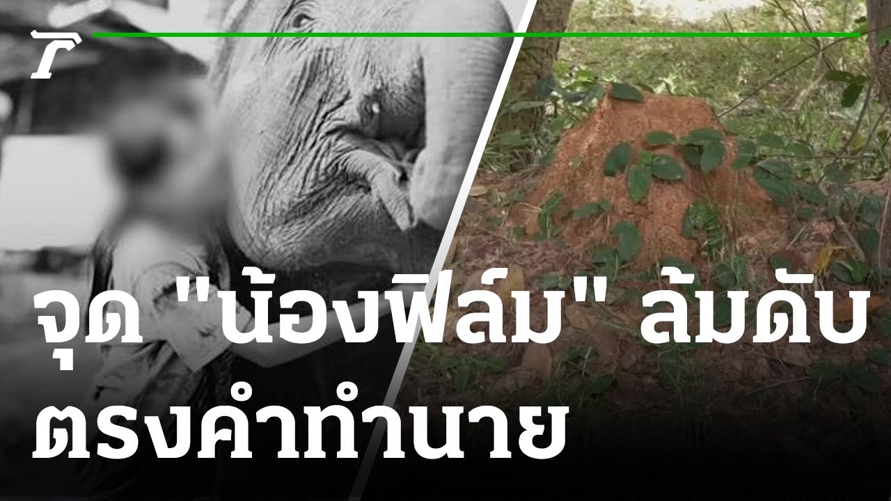 ขนลุกซู่ 