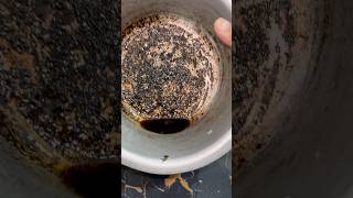 Kitchen cleaning products #youtubeshorts #cleaning #steelo #shorts