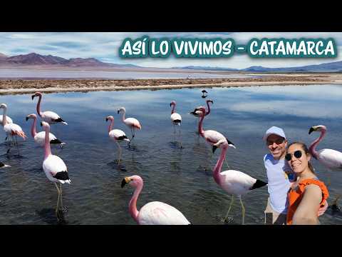 Campo de Piedra Pómez y Antofagasta de la Sierra (Catamarca)