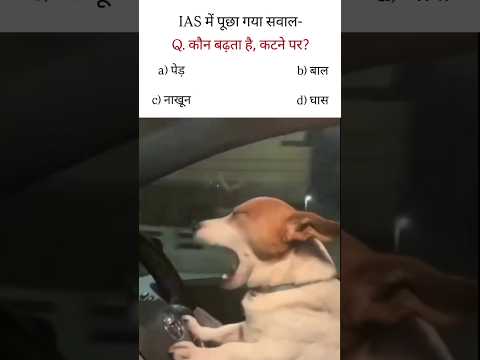 Btao Btao..?? 🧐😄#youtubeshorts #viral