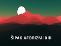 ŠIPAK AFORIZMI XIII