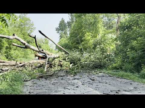 July 1, 2026 Tree Down Lovshin Road Alnwick Haldimand Township