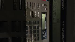 IMG 0957