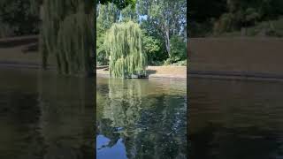 WhatsApp Video 2024 07 23 at 21 06 40