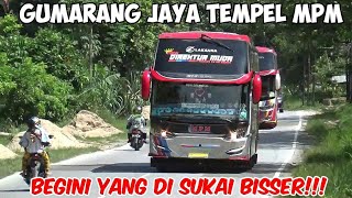 BUS ANS KONVOI DARI RANTAU, GUMARANG JAYA VS MPM DIREKTUR MUDA DI BATANGPAMO