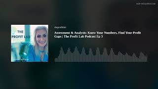 Assessment & Analysis: Know Your Numbers, Find Your Profit Gaps | The Profit Lab Podcast Ep 3