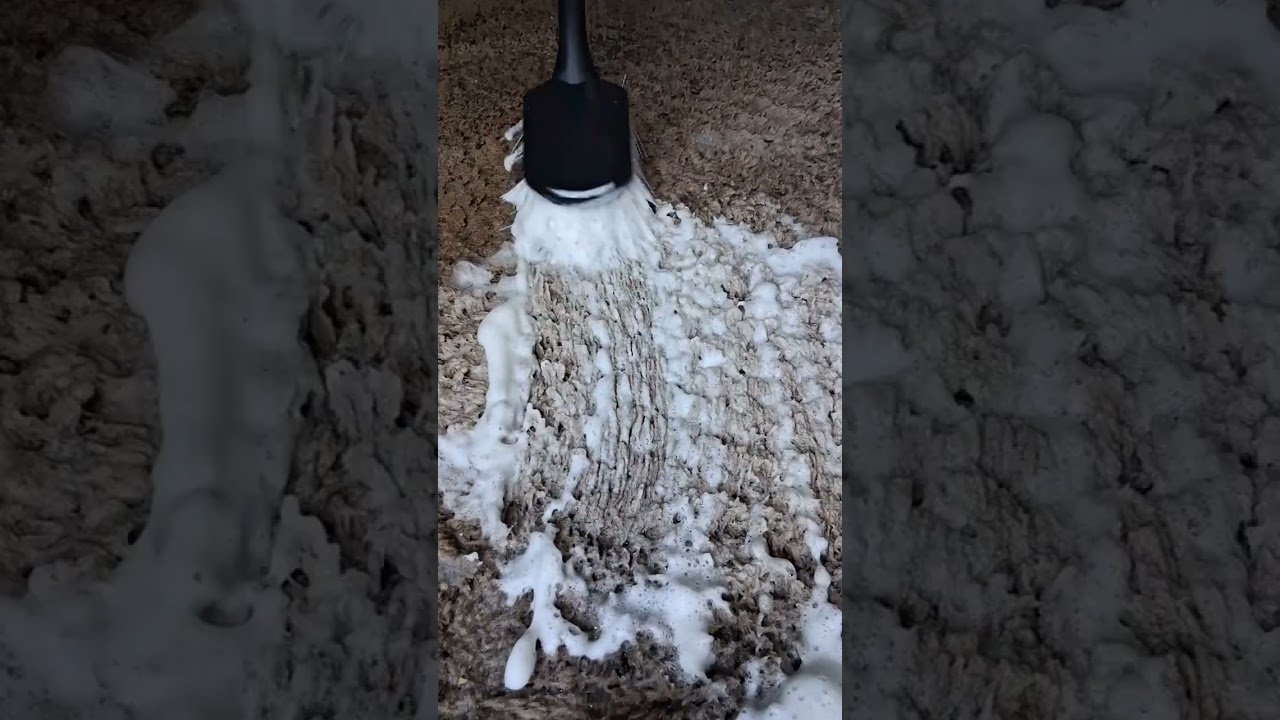 17 Minutes Hand Scrubbing Dirty Carpet (ASMR Sounds)