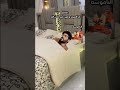 الصيف والناموسه الصيفية الناموس اضحك من قلبك 