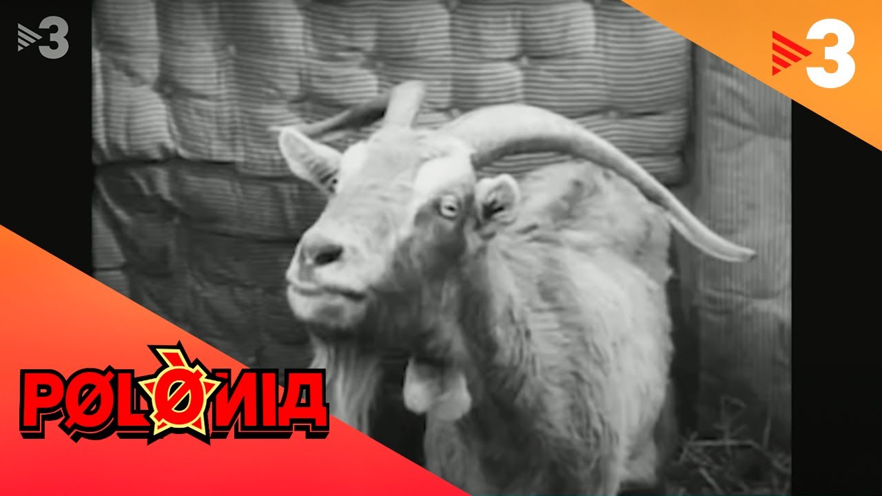 NODO 12 d'octubre - Polònia