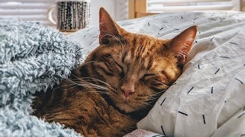 blueqatはなぜ量子AIを目指すのか