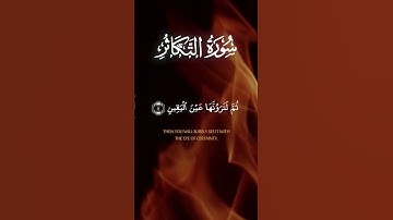 سورة التكاثر (٥-٨) - طلحة علوي | #القرآن_الكريم #سورة_التكاثر #طلحة_علوي #تلاوه #تلاوة_خاشعة