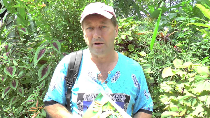 Interwiev with the adventure photographer David Me...
