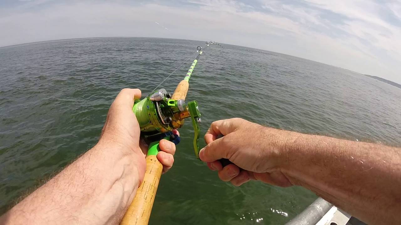 Poolfish on Brooklyn VI 6/1/16