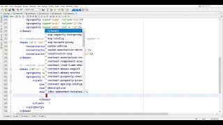 SP3c Setter and constructor injection for collection with demonstration