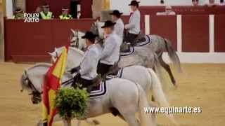 Equinarte - CARRUSEL