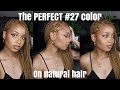 Black to Honey Blonde | How to Get the Perfect #27 Color On Natural Hair