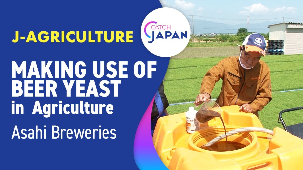 Asahi Breweries: Making Use of Beer Yeast in  Agriculture