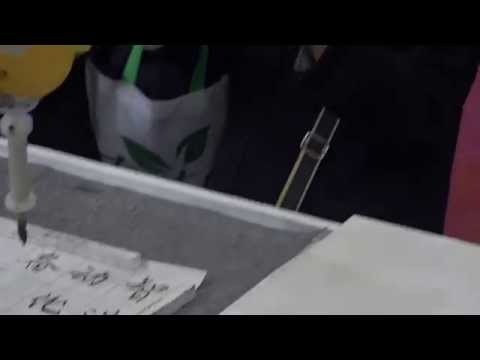 绝了！机器人写毛笔字 This robot is writing Chinese calligraphy
