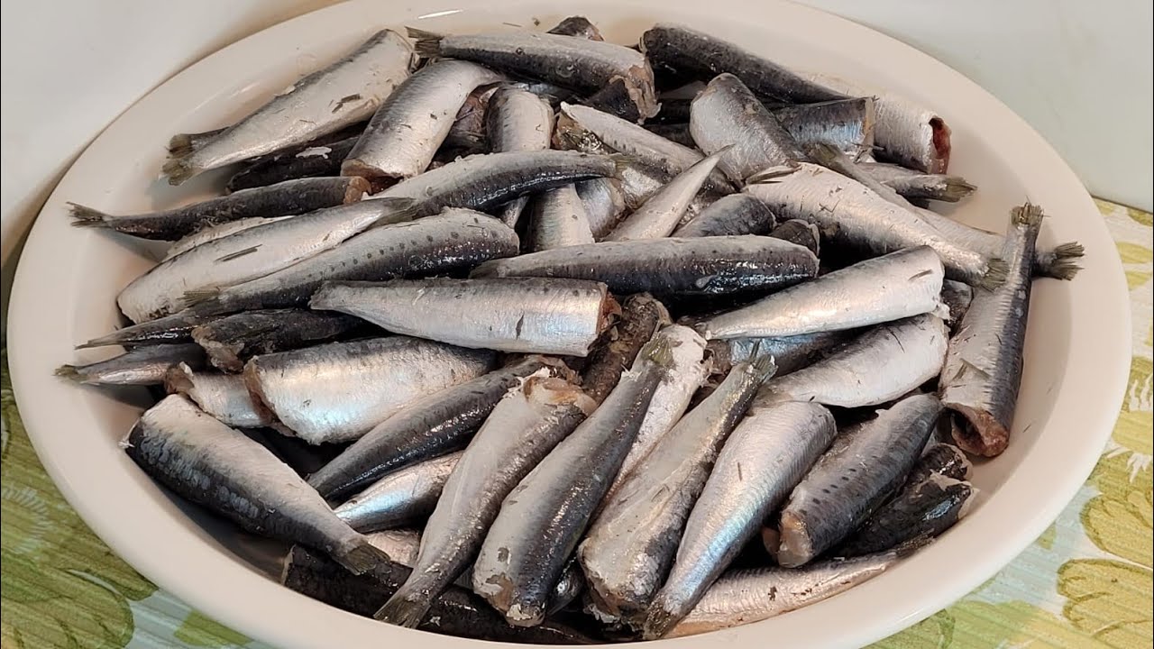 وداعا لشراء السردين المعلب إليكم طريقة تصبير السردين بالفلفل الحار