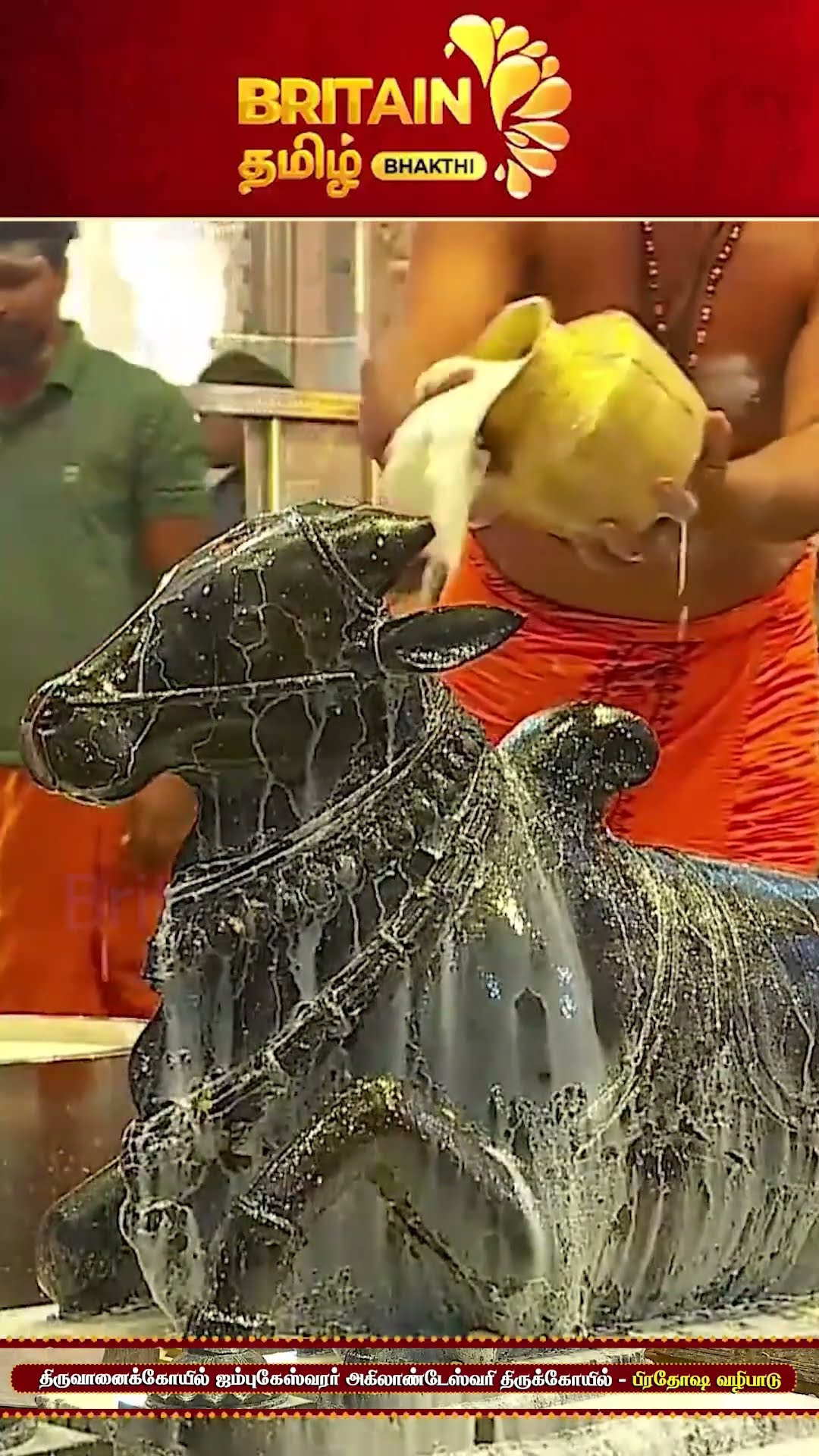 ஓம் நமசிவாய💐 - ShareChat