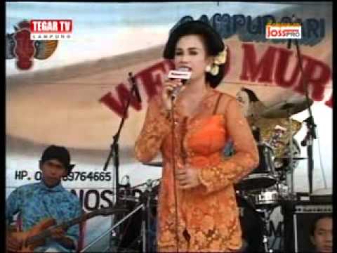 Lgm.setyo-tuhu..mp4