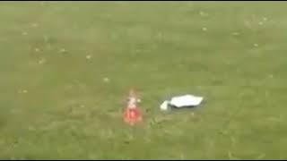 Patlama Anından Tam Önce Kediyi Nasıl Kurtardı ???? Ilginç Komik Eğlenceli Video 2020