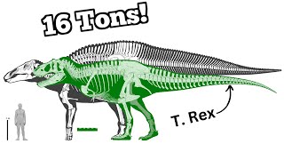 The Largest Non-Sauropod Dinosaur Ever