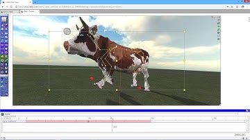 Bone Editing & Skeletal Animation