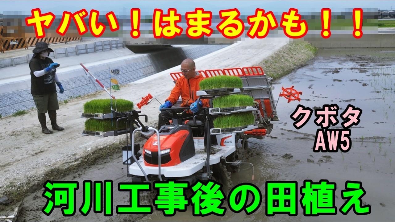 Kubota 田植え機　購入前に必ずコメントください Rice Planting] Rice planting after river construction work 2026